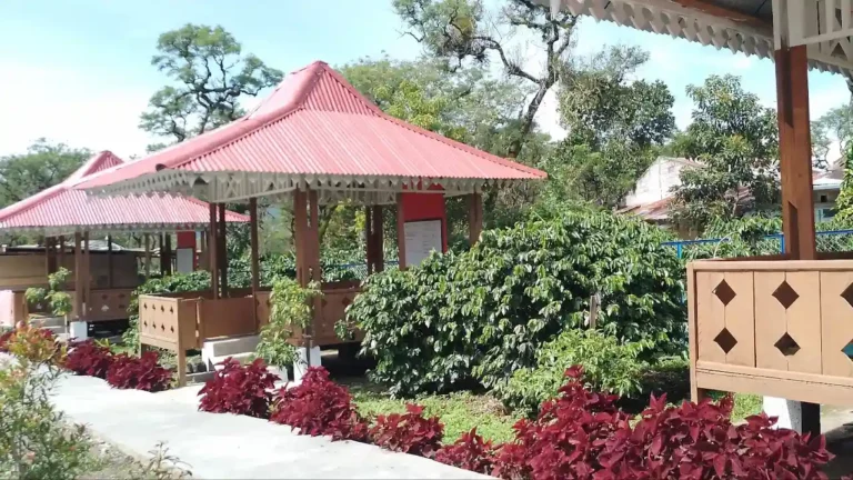 Balai tahsin Pesantren Modern Al Manar Bener Meriah. (Doc Dayah)